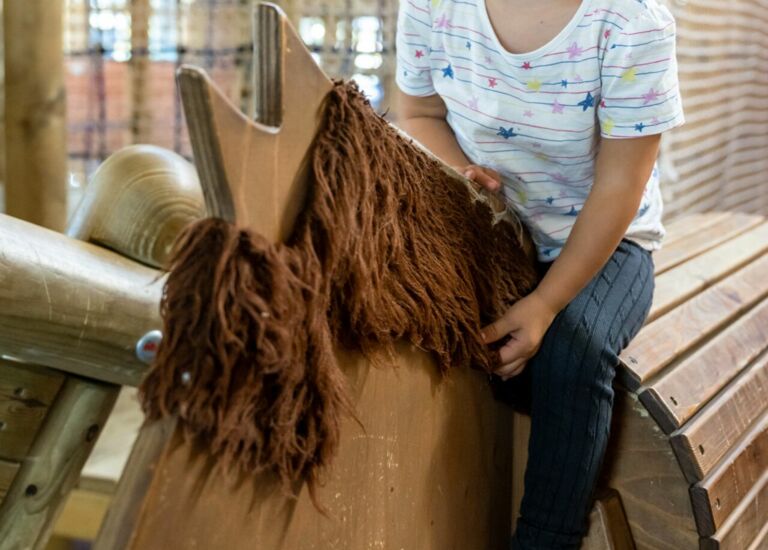 Aktiv-Hus Die Schatzinsel